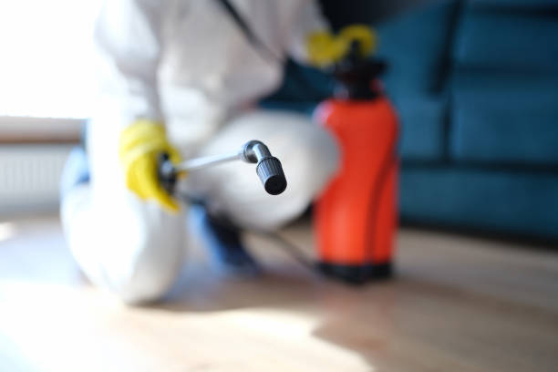 Best Real Estate Mold Inspection  in West Newton, PA